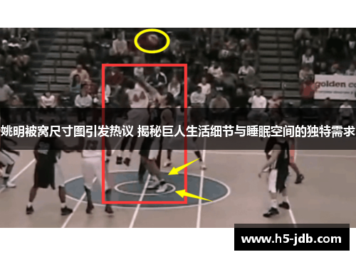 姚明被窝尺寸图引发热议 揭秘巨人生活细节与睡眠空间的独特需求 姚明被窝尺寸图引发热议 揭秘巨人生活细节与睡眠空间的独特需求