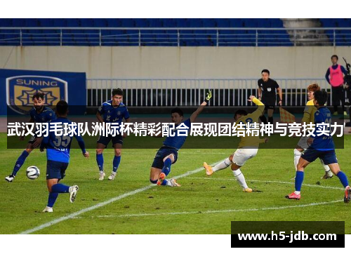 武汉羽毛球队洲际杯精彩配合展现团结精神与竞技实力