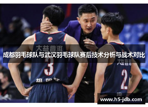 成都羽毛球队与武汉羽毛球队赛后技术分析与战术对比