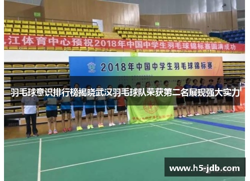 羽毛球意识排行榜揭晓武汉羽毛球队荣获第二名展现强大实力